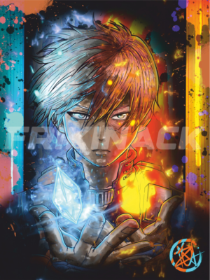 SHOTO TODOROKI